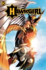 Hawkgirl: Once Upon a Galaxy - Book