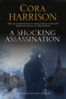 Shocking Assassination, A - eBook