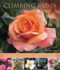 Climbing Roses - Book
