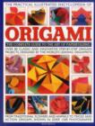 Practical Illustrated Encyclopedia of Origami - Book