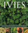 Ivies - Book
