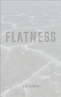 Flatness - eBook