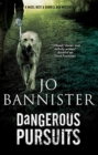 Dangerous Pursuits - Book