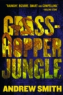 Grasshopper Jungle - eBook