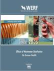Effects of Wastewater Disinfection on Human Health - eBook