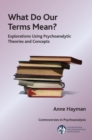 What Do Our Terms Mean? : Explorations Using Psychoanalytic Theories and Concepts - Book