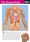 The Human Body : The Instant Guide - Book