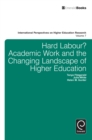 Hard Labour? Academic Work and the Changing Landscape of Higher Education - eBook