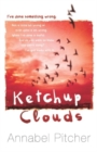 Ketchup Clouds - eBook