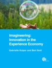 Imagineering: Innovation in the Experience Economy - Book