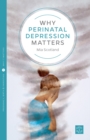 Why Postnatal Depression Matters - eBook