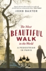 The Most Beautiful Walk in the World : A Pedestrian in Paris - Book