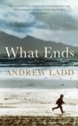 What Ends - eBook
