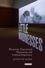 Little Madnesses : Winnicott, Transitional Phenomena & Cultural Experience - Book