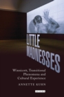 Little Madnesses : Winnicott, Transitional Phenomena & Cultural Experience - Book