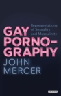 Gay Pornography : Representations of Sexuality and Masculinity - Book