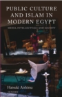 Public Culture and Islam in Modern Egypt : Media, Intellectuals and Society - Book