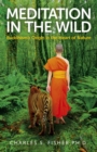 Meditation in the Wild : Buddhism's Origin in the Heart of Nature - eBook