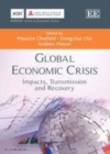 Global Economic Crisis : Impacts, Transmission and Recovery - eBook
