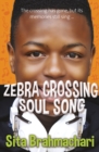 Zebra Crossing Soul Song - Book