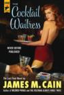 The Cocktail Waitress - Book