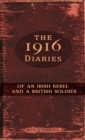 The 1916 Diaries : of an Irish Rebel and a British Soldier - Book