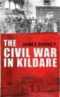 The Civil War in Kildare - Book