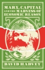 Marx, Capital and the Madness of Economic Reason - Book