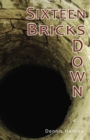 Sixteen Bricks Down - Book