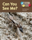 Can You See Me - Book