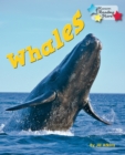 Whales - Book