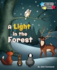 A Light in the Forest - Book
