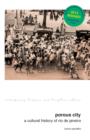Porous City : A Cultural History of Rio de Janeiro - Book