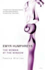 The Woman at The Window - eBook