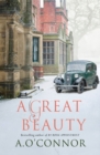 A Great Beauty - Book