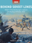 Hitler s Blitzkrieg Enemies 1940 : Denmark, Norway, Netherlands & Belgium - Higgins David R. Higgins