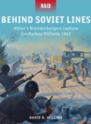 Hitler s Blitzkrieg Enemies 1940 : Denmark, Norway, Netherlands & Belgium - Higgins David R. Higgins