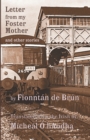 Letter from my Foster Mother and other Stories - Book