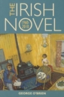 The Irish Novel 1960-2010 - Book