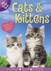Cats & Kitens Poster Book - Book