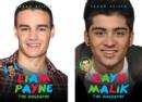 Zayn Malik / Liam Payne - the Biography - Book