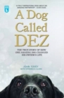 A Dog Called Dez - The Story of how one Amazing Dog Changed his Owner's Life - eBook
