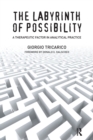 The Labyrinth of Possibility : A Therapeutic Factor in Analytical Practice - Book