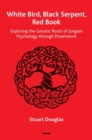 White Bird, Black Serpent, Red Book : Exploring the Gnostic Roots of Jungian Psychology through Dreamwork - Book