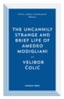 The Uncannily Strange and Brief Life of Amedeo Modigliani - Book