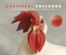 Beautiful Chickens : Portraits of champion breeds - Book