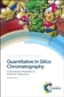 Quantitative In Silico Chromatography : Computational Modelling of Molecular Interactions - eBook