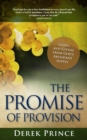 The Promise of Provision - Book