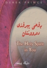 Holy Spirit in You, The (Sorani) - Book