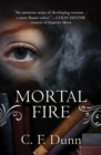Mortal Fire - Book